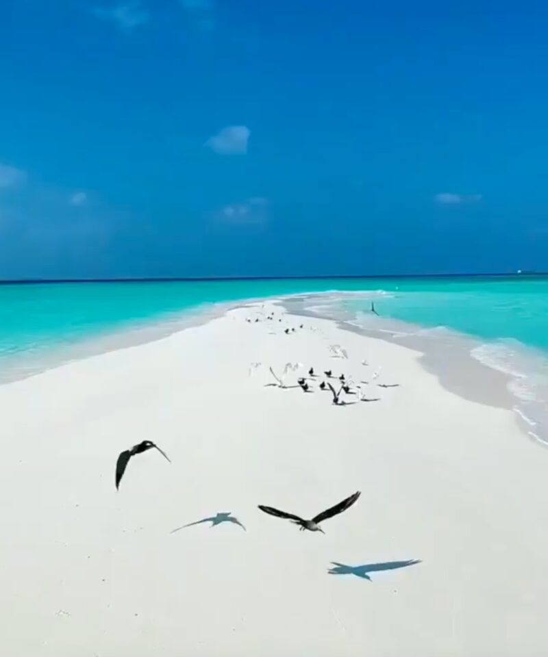 Bangaram sandbank Lakshadweep