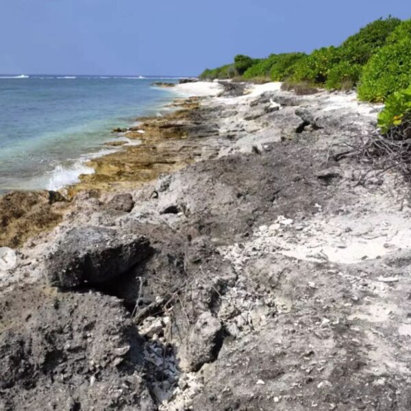 Kalpitty island or Kalpatty island