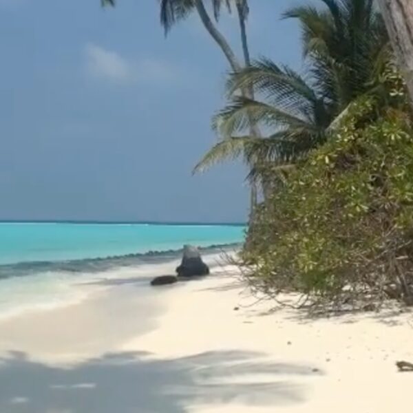 thinnakkara island lakshadweep